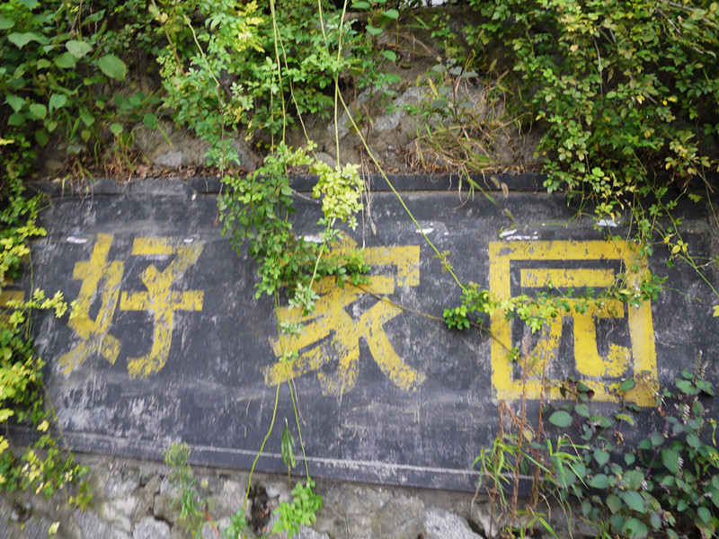 ���˵����