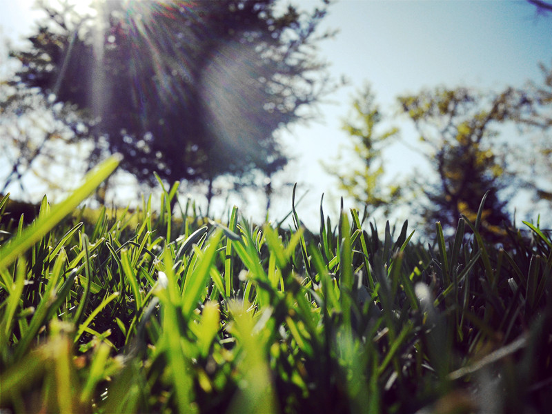 һЩ��Ҫ���������