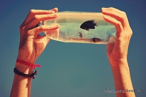 ��һ����