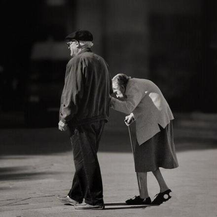 �ԣ�������Ҷ԰�������⡣