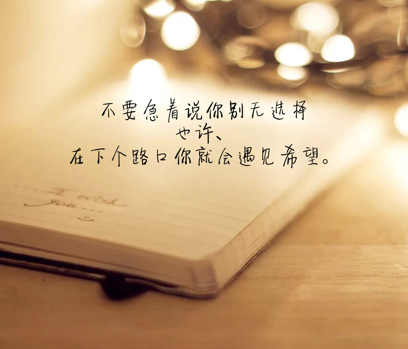 �¸���������