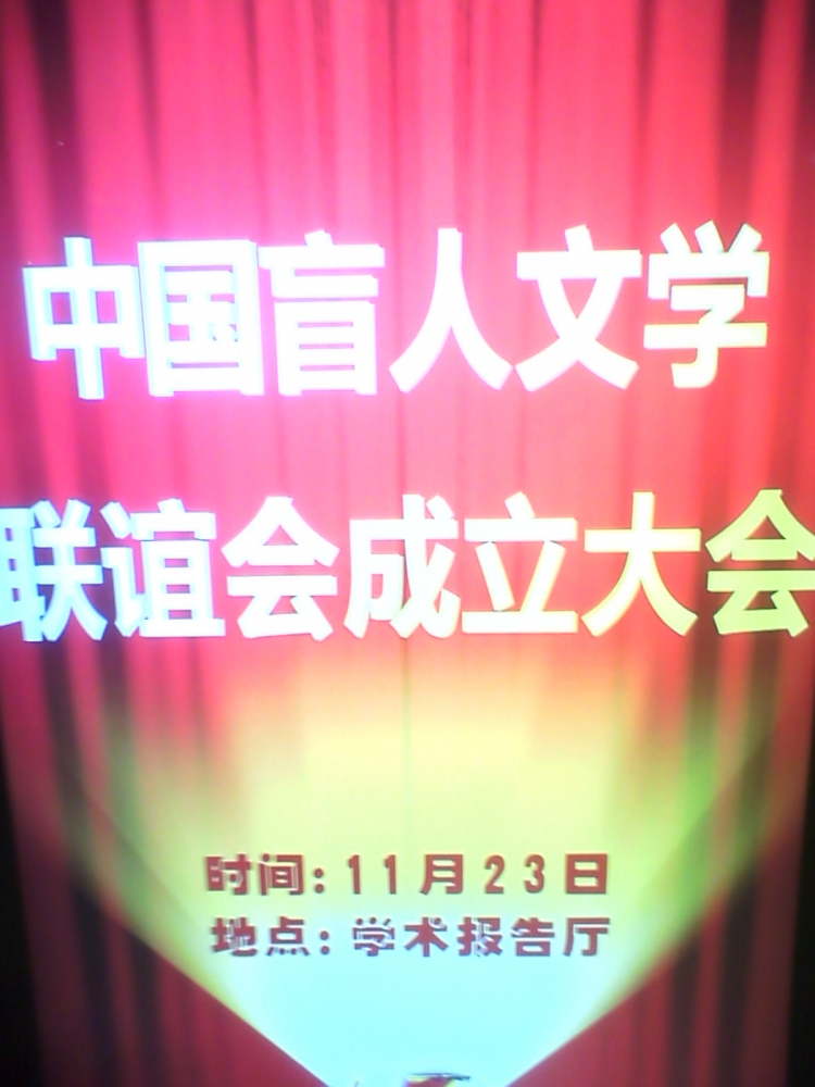 ��ϯ�й�ä��Э���й�ä����ѧ���������������