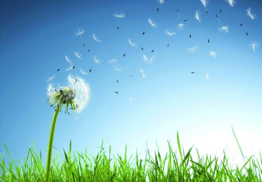 д���ְ�������š�