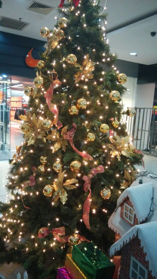 2014��ʥ���ڵ���ʳ