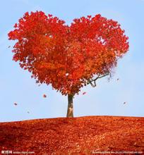 ��Щ�����ǵ�������-д��ͬѧ