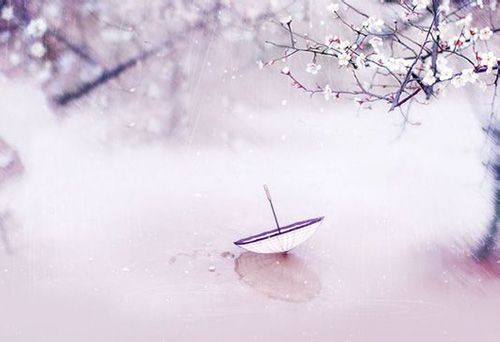 ������ģ�û�������� �����ߵģ�����������