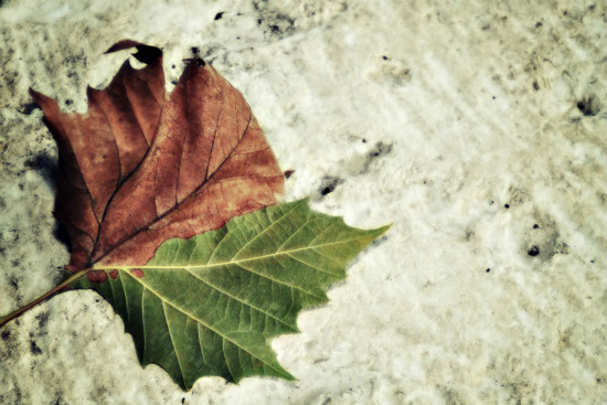 �ļ�����ʾ¼