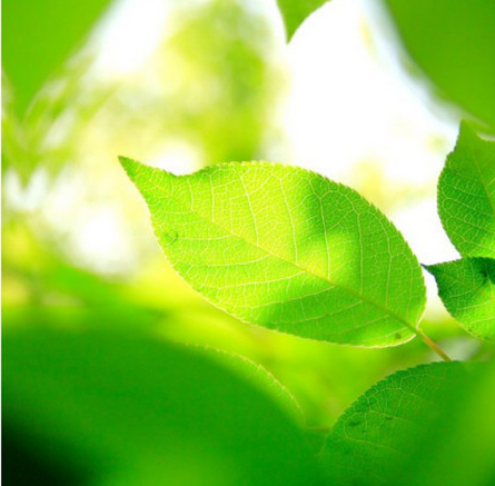 ������Լ�ѡ���