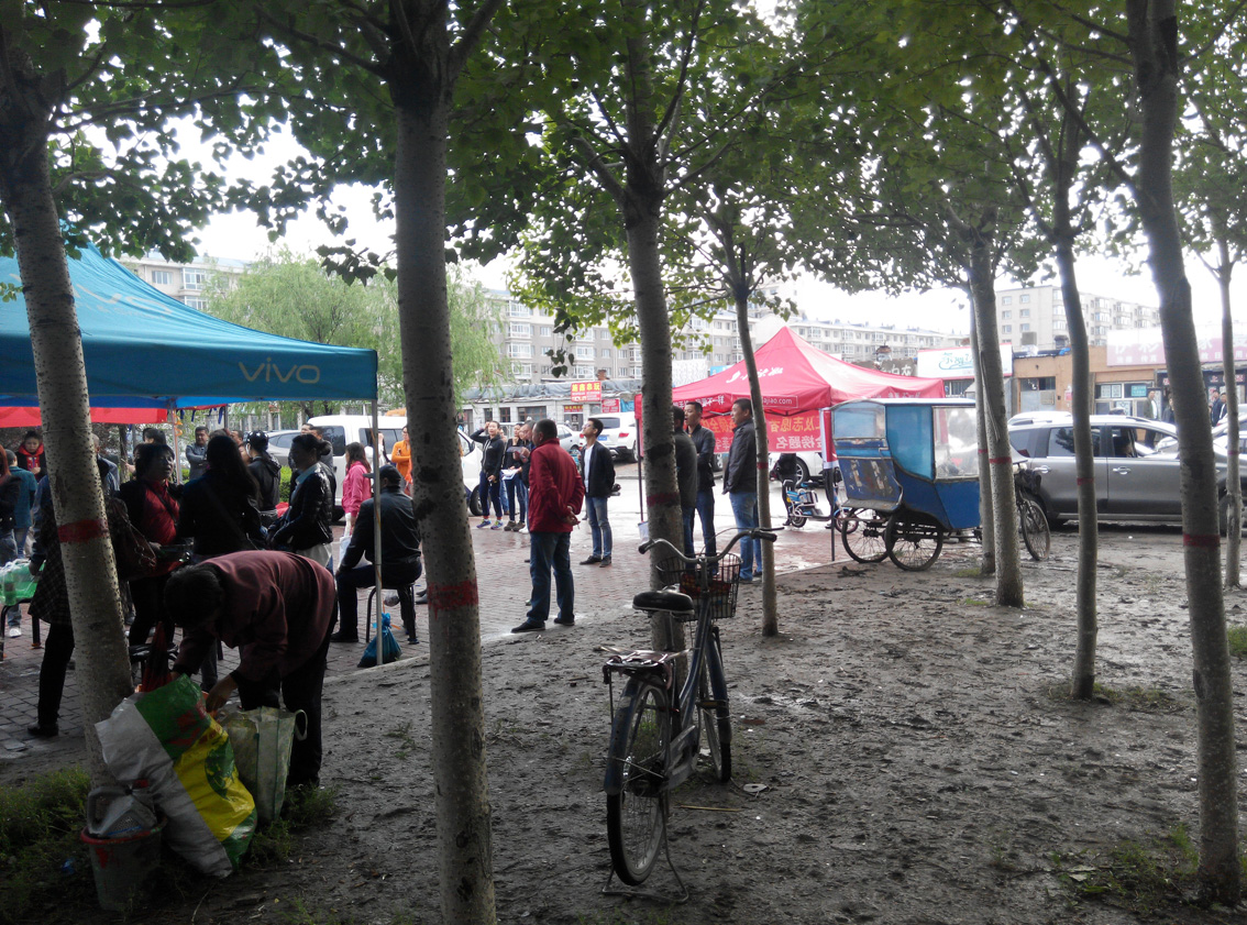 ��֪��,��һ�ְ���������.