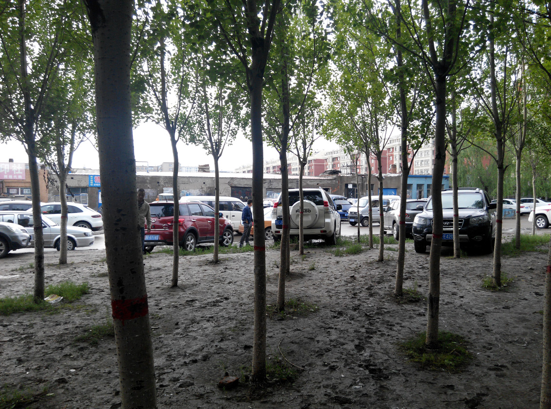 ��֪��,��һ�ְ���������.