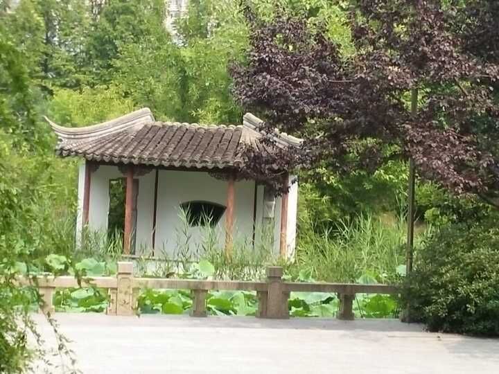 ����ɽ��