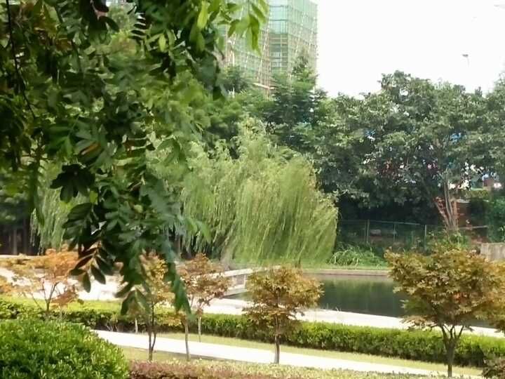 ����ɽ��