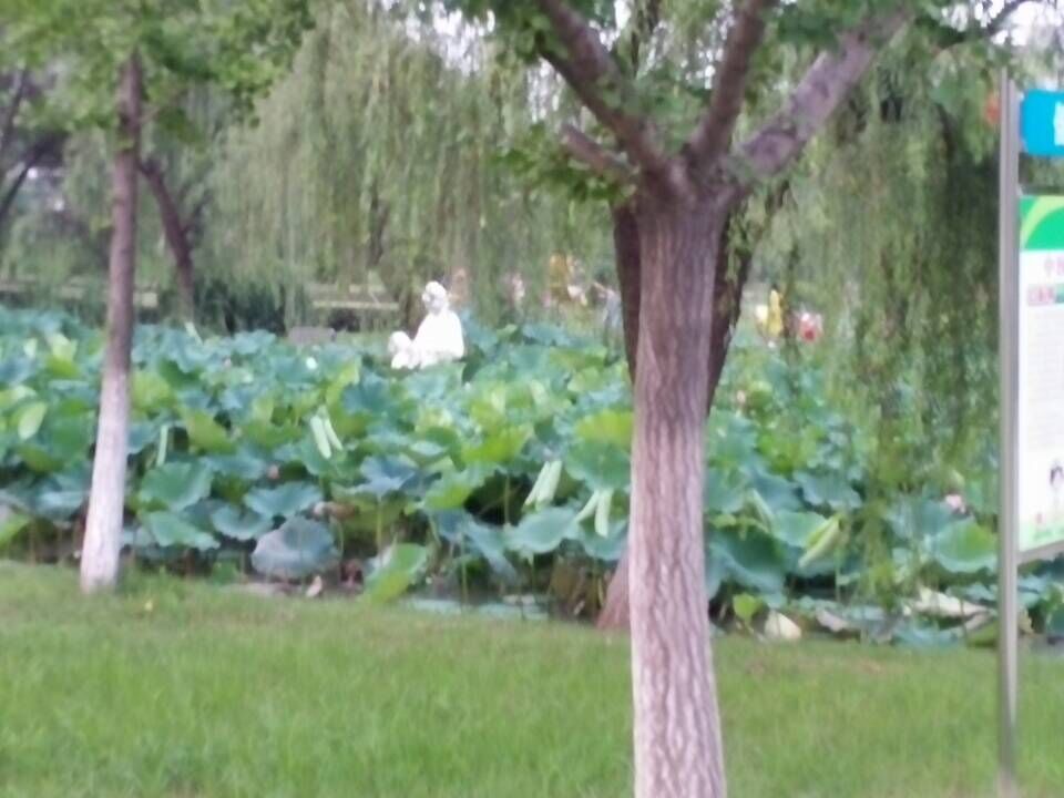 ����ɽ��