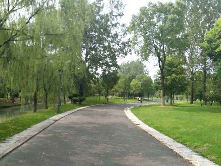 ����ɽ��