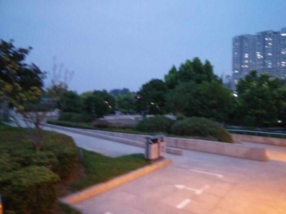 ����ɽ��