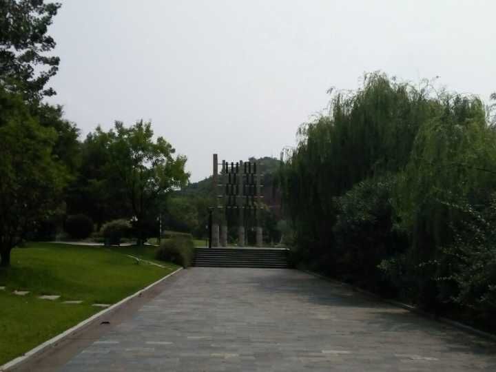 ����ɽ��