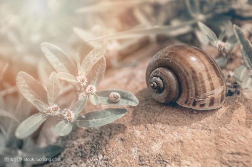 ��лͯ�����ˣ�ԭ��ܼ򵥣���̫���ˣ�ʲô�¶�����ر�����