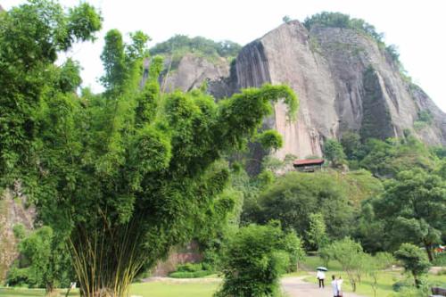 лл�������������죬���������Ѿ��úܶ���