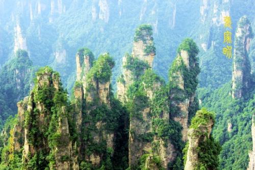 ���벻���׵���Ϊʲô��Ҷ���˵�����ࣿ����