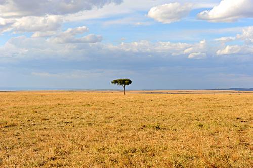 ��������ȥ�������й����п�