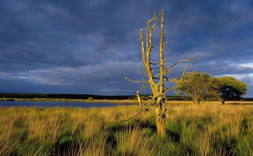 �����Լ����Ը��˼άģʽ���Ѿ��ǽ����ѵõĽ���