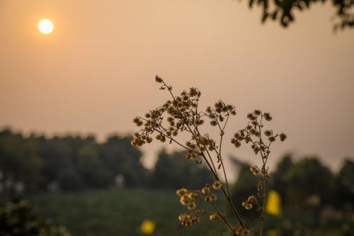 ���S��δҊ�����Ѽs�